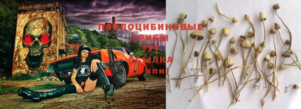 Альфа ПВП Нягань