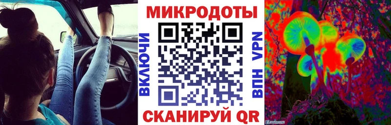 где продают   Усть-Джегута  Псилоцибиновые грибы Psilocybe 