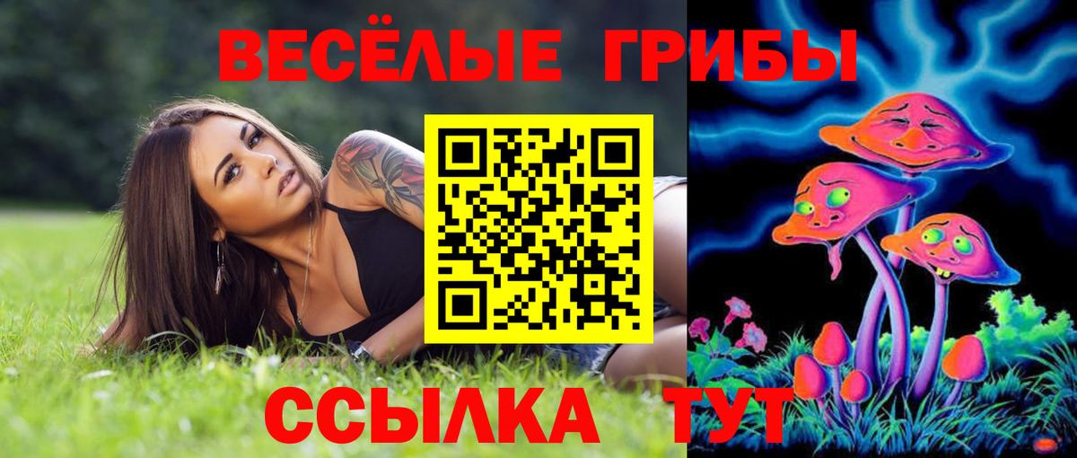 Усть-Джегута  где купить наркоту  Вход с VPN  Галлюциногенные грибы Cubensis 