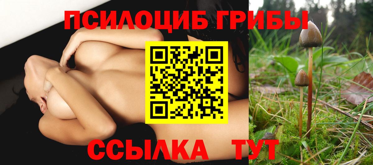 Псилоцибиновые грибы MAGIC MUSHROOMS Усть-Джегута